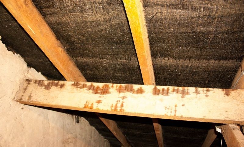 Attic Water Damage Repair in Summerville, SC