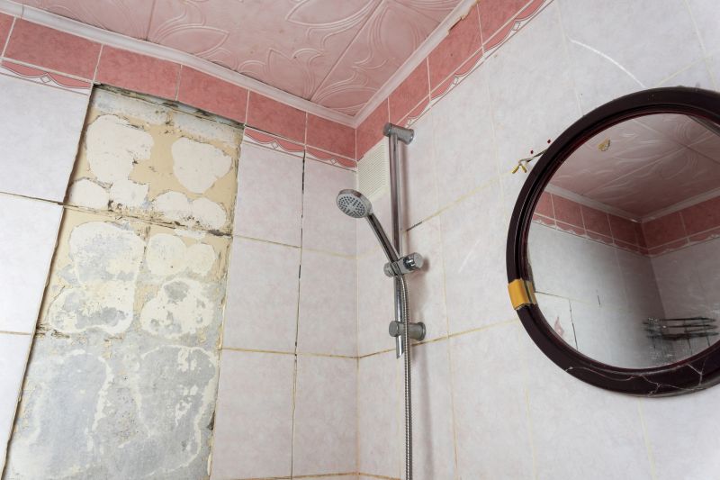 Bathroom Tile Removal