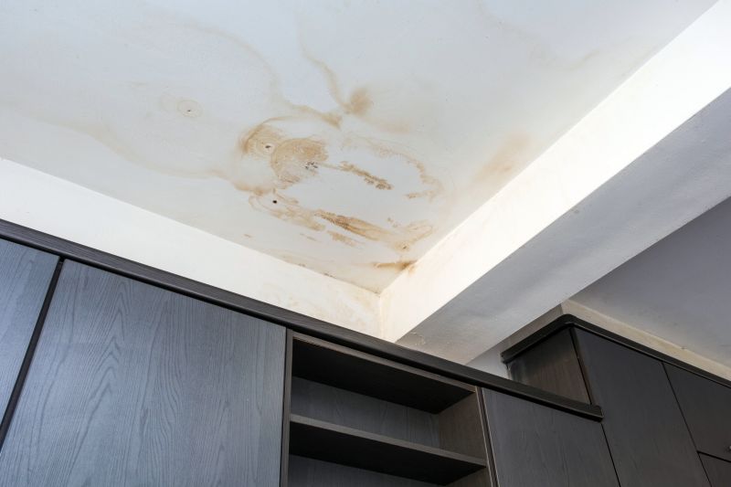Ceiling Leak Repair Service in Katy, TX