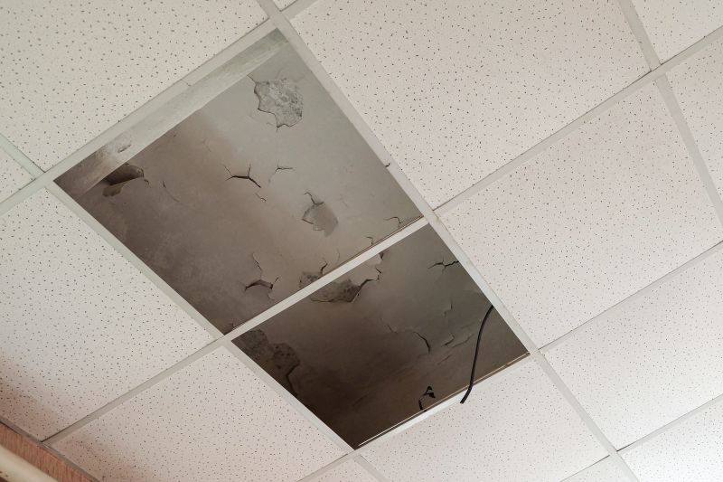 Ceiling Leak Repair Service in Houston, TX